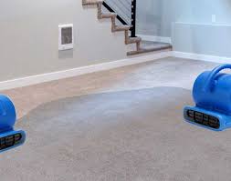 carpet cleaning process by dalworth