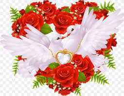 love rose heart wallpaper png