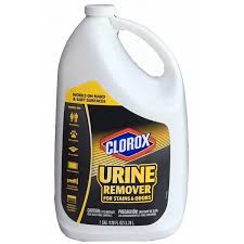 clorox urine remover 3 8l