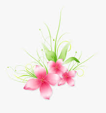 Lambang bunga seruni gambar bunga bunga nusantara bunga api bunga raya bunga ayu seaside resort bunga nasional indonesia. Vektor Bunga Png Free Transparent Clipart Clipartkey