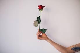 symbolic meaning of a single red rose