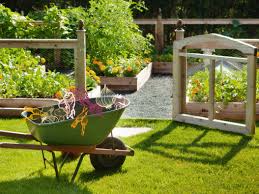 16 backyard vegetable garden ideas for