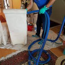 carpet cleaning near stayner