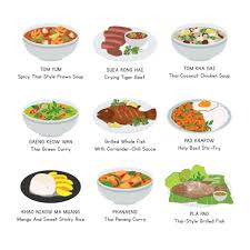 asian food thai cuisine thai foods vector