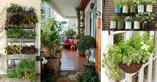 Read on for expert advice on the best balcony garden ideas, including tips on growing them the committing to growing a garden—or even a plant or two—can be a daunting process, and it's easy to. Creative Ideas For Balcony Garden Containers Balcony Garden Web