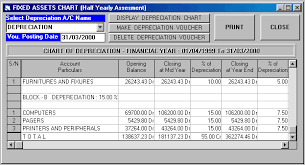 Petrol Bunk Accounting Software Fixed Assets Chart Half