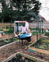 5 Common Allotment Mistakes Beginners