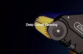 steam cleaning management services