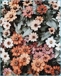 aesthetic iphone flowers flower