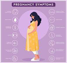 early pregnancy symptoms immunifyme