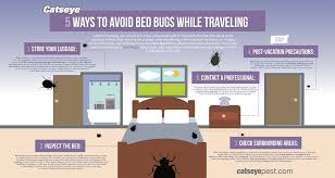 Consumer reports' experts show you simple ways to check for signs of bed bugs in. 5 Ways To Avoid Bed Bugs In Hotels Catseye Pest Control