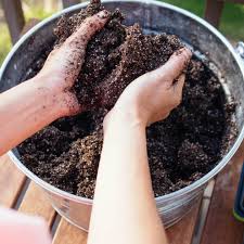 Make The Best Seed Starting Mix For
