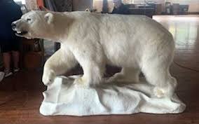 44k polar bear tops taxidermy auction