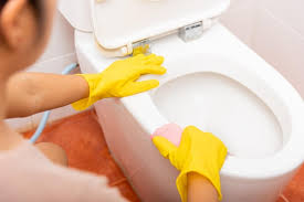 Woman Cleaning Toilet Seat