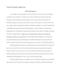 Examples Writing Descriptive Essay Person Example Of Story Samples