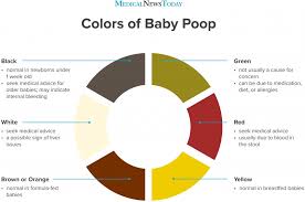 What Does Baby Poop Color Mean Chart And Guide
