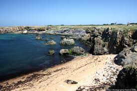 Ile d'yeu, ile d'yeu picture: Isle Of Yeu The Vendee Coast Camping Cote Plage Vendee France