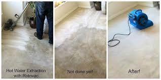 utah carpet cleaning pure cleaning