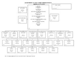 Organizational Structure About Ihs