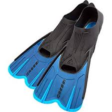 Amazon Com Cressi Light Blue 31 32 Training Swim Fins
