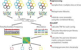 MetaBAT, an efficient tool for accurately reconstructing single genomes  from complex microbial communities [PeerJ]