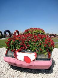 used cars become oversized flower pots