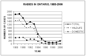 Rabies And Horses