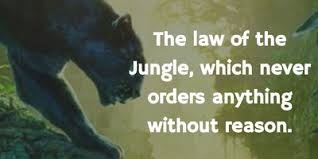 The law of the jungle. Jungle Book Quotes To Make Everyone Think A Lot Enkiquotes