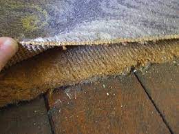 asbestos carpet underlay is the