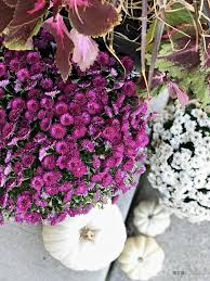 Beaded flowers dry branches fake flowers home décor home. Easy Ways To Update Your Porch Decor For Fall This Is Our Bliss
