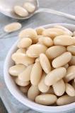 Are cannellini beans and butter beans similar?