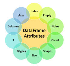 dataframe attributes in pandas