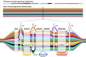 more inclusive update to human genome