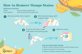 remove mango stains from clothes