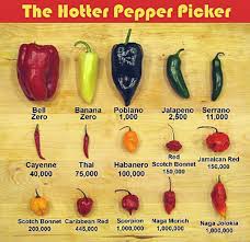 One Gardener To Another Pick A Peck Of Peppers Lifestyles