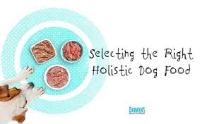 How To Select The Right Holistic Dog Food Holistic Dog