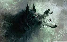 wolf desktop wallpapers on wallpaperdog