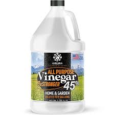 Thoroughly soak the affected areas with the vinegar. Buy Calyptus 45 Pure Super Concentrated Vinegar Dilutes To 9 Gallons 9x Power Cleaning Vinegar Plant Based Home And Outdoor All Purpose Cleaner 1 Gallon Online In Germany B07w9hx3mv