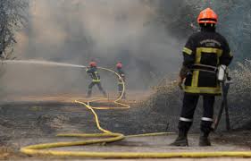 Ain: Un violent incendie ravage 30 hectares de forêt, à côté d'un camping