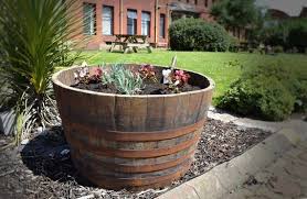 Whisky Oak Barrel Planter Pot Half Cut