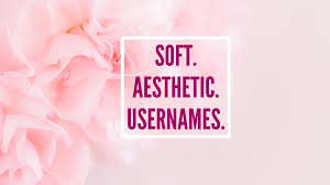 Get all the latest, new, unique, good, funny, cool, aesthetic and best roblox names to use right now. 26 Super Soft Aesthetic Usernames Bridal Shower 101