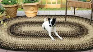 oval braided rugs washable pet