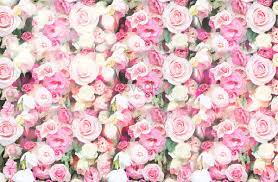 hd flowers wall backgrounds images cool
