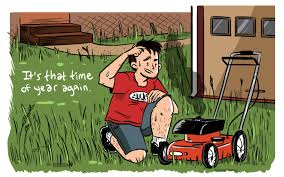 Hate Mowing Your Lawn Good Dont Do It By Ted Steinberg