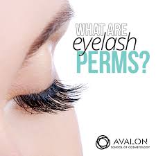 what are eyelash perms avalon insute