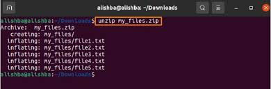 how to unzip a zip file on ubuntu
