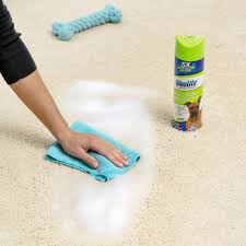woolite heavy traffic rug foam cleaner