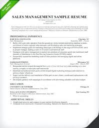 Real Estate Agent Resume Samples Radiovkm Tk