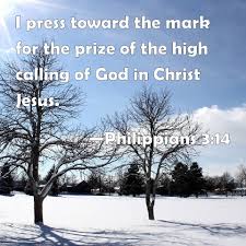 Philippians 3:14 I press toward the mark for the prize of the high calling  of God in Christ Jesus.