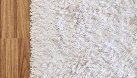 carpet beetles infested rug repair in dfw